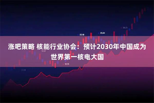 涨吧策略 核能行业协会：预计2030年中国成为世界第一核电大国