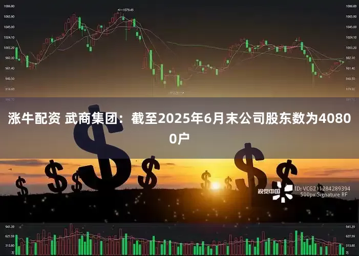 涨牛配资 武商集团：截至2025年6月末公司股东数为40800户